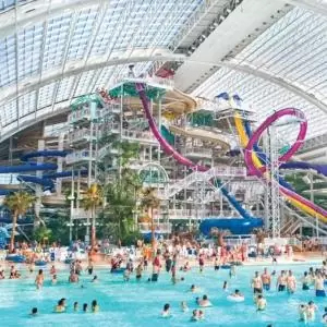 2017 wem website attraction images 1920 wwp2 300x300