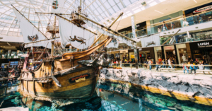 Edmonton Jan 2019 300x157