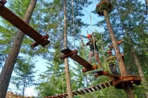 Zipline 300x200